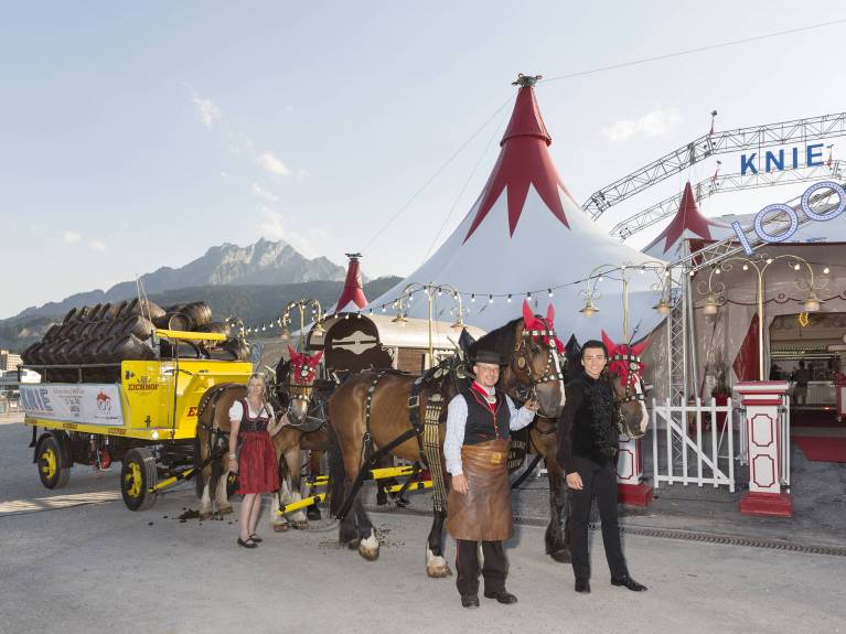 Eichhof-Gespann beim Zirkus Knie